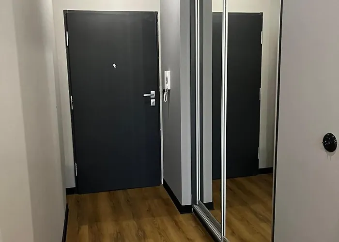 Apartamento Z Widokiem Na Stadion Styl Industrialny Jedyny Taki Check In 24 H Poznan