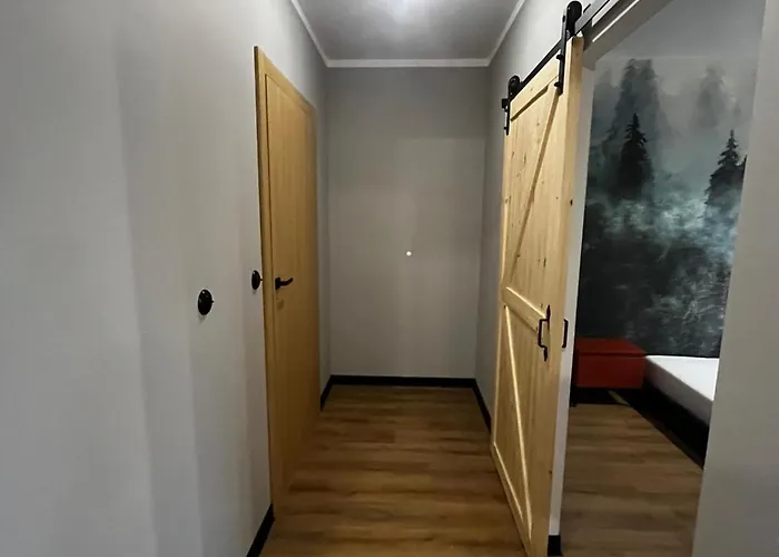 Z Widokiem Na Stadion Styl Industrialny Jedyny Taki Check In 24 H Apartment *